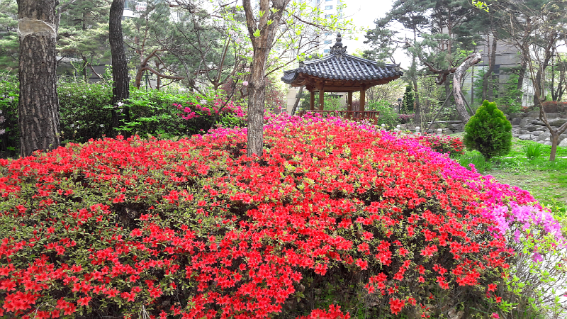 1e8b56e7bce1e19b630c7f8e95a04edd_1462161