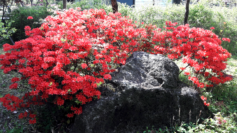 1e8b56e7bce1e19b630c7f8e95a04edd_1462161