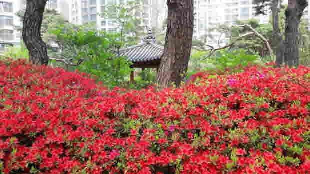 3b419042d6ee9014a357c55073c5f08e_1463735