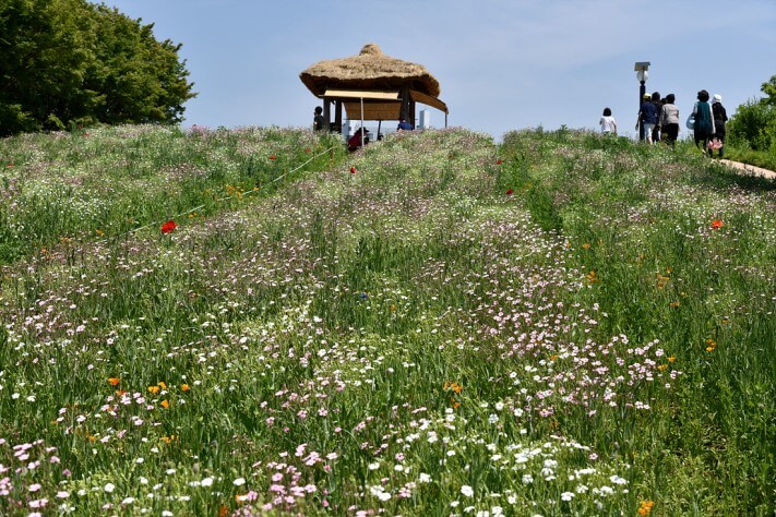 c35a7bff7e138ef8b0e6e9f272f9f919_1463974