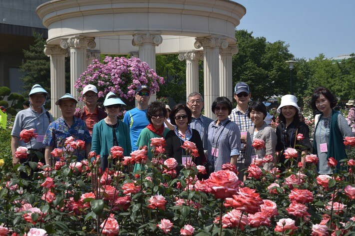 c35a7bff7e138ef8b0e6e9f272f9f919_1463974