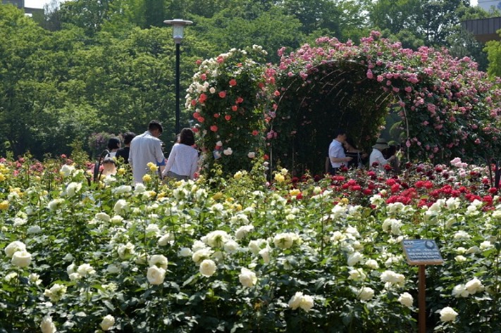 c35a7bff7e138ef8b0e6e9f272f9f919_1463974