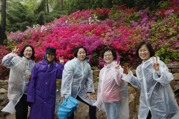 ed662655087d8f4ed78bedf571bf1052_1462350