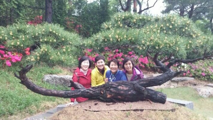 ed662655087d8f4ed78bedf571bf1052_1462351