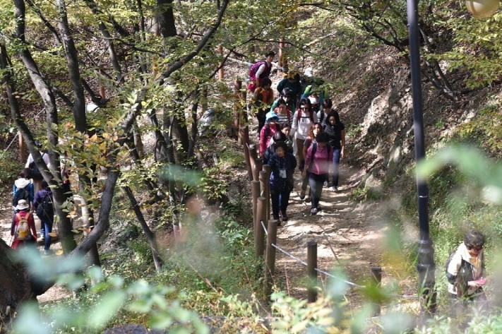 0dde5b9c2f875c815ba9006b2e16dcf0_1476954