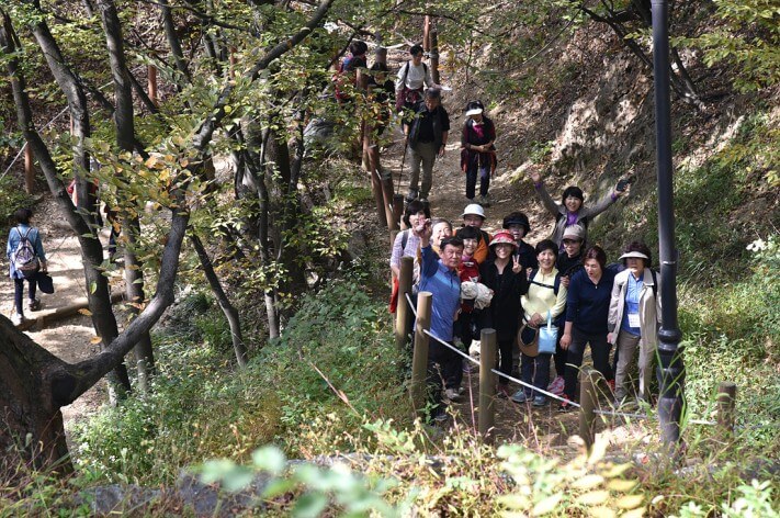 0dde5b9c2f875c815ba9006b2e16dcf0_1476954