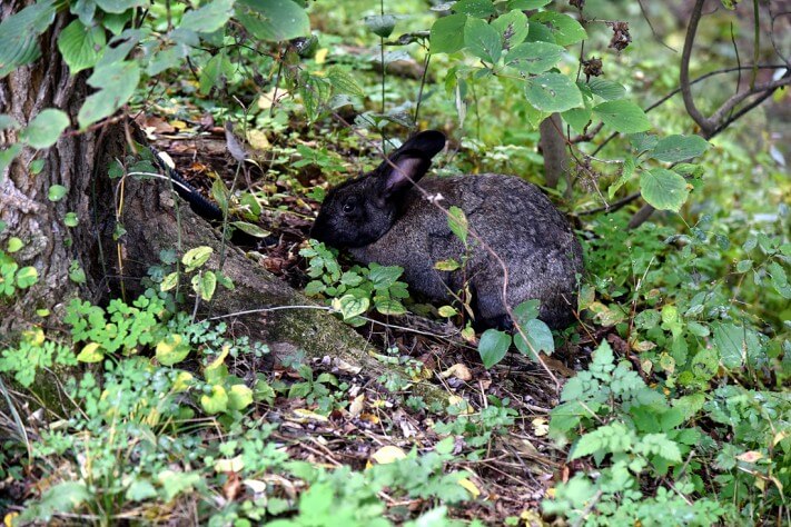 0dde5b9c2f875c815ba9006b2e16dcf0_1476955