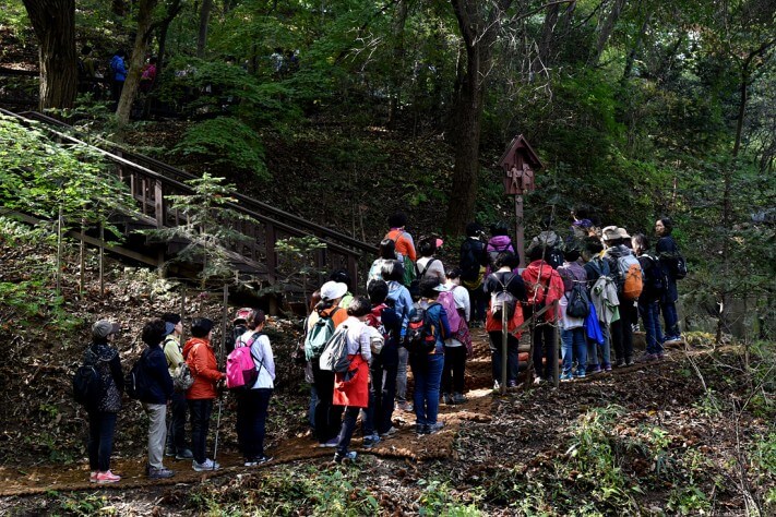 0dde5b9c2f875c815ba9006b2e16dcf0_1476955