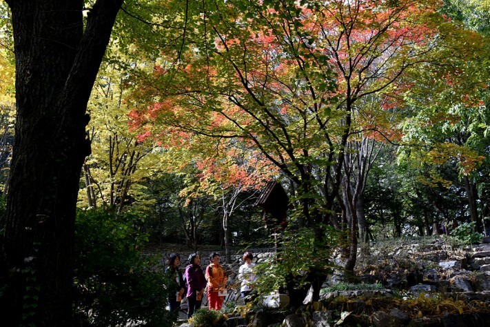 0dde5b9c2f875c815ba9006b2e16dcf0_1476955