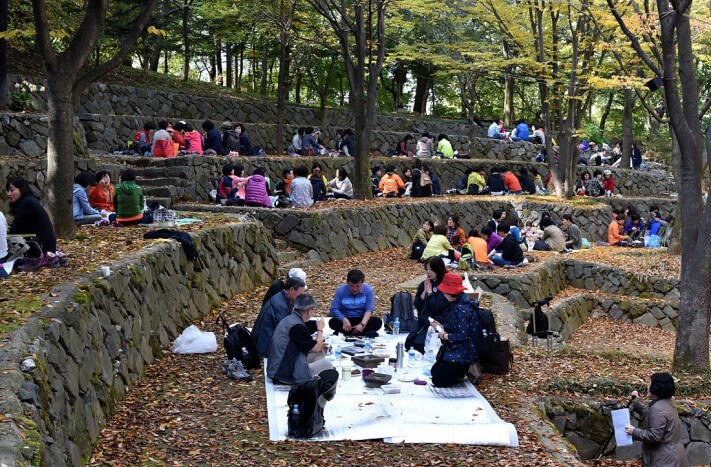 0dde5b9c2f875c815ba9006b2e16dcf0_1476955