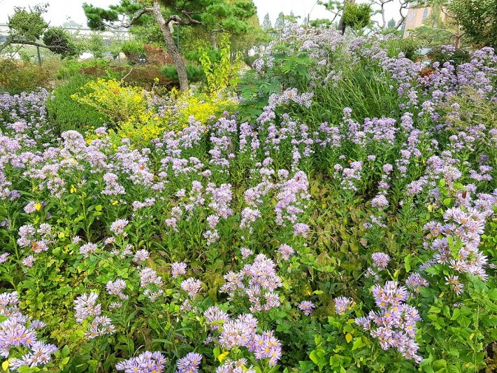 7fb8206b85fcab2d97147fd6b23767e6_1476970