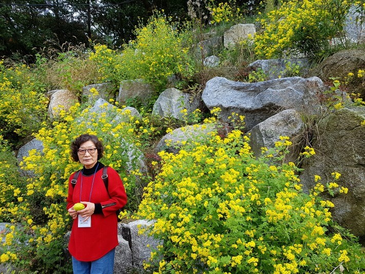 7fb8206b85fcab2d97147fd6b23767e6_1476970