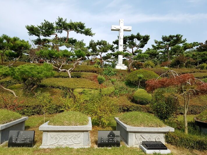 7fb8206b85fcab2d97147fd6b23767e6_1476970