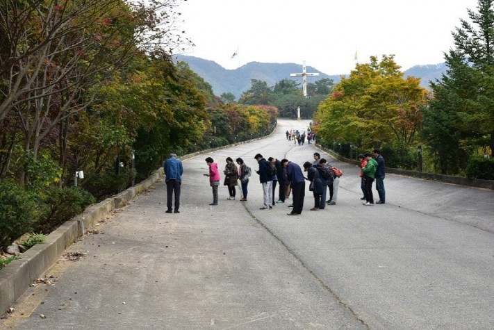 a6fbfd6951cef6e61d4752e6b1c447a9_1476692