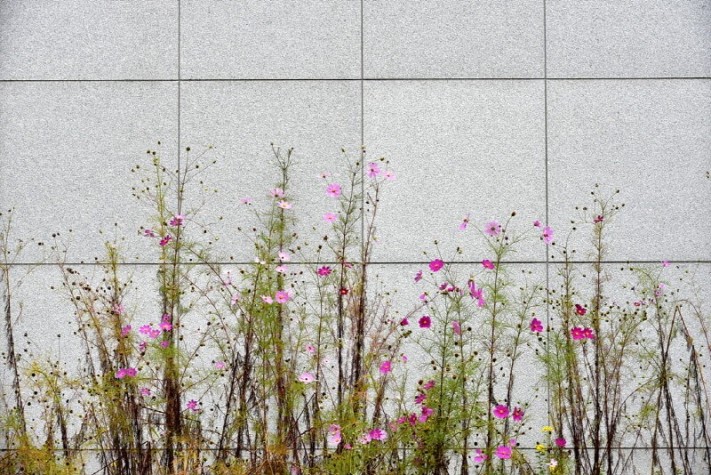 a6fbfd6951cef6e61d4752e6b1c447a9_1476692