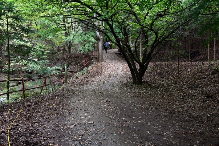 a6fbfd6951cef6e61d4752e6b1c447a9_1476692