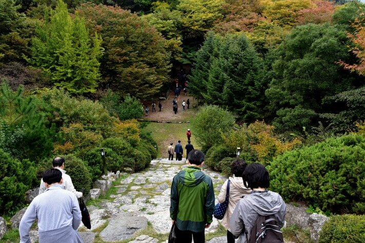 a6fbfd6951cef6e61d4752e6b1c447a9_1476692