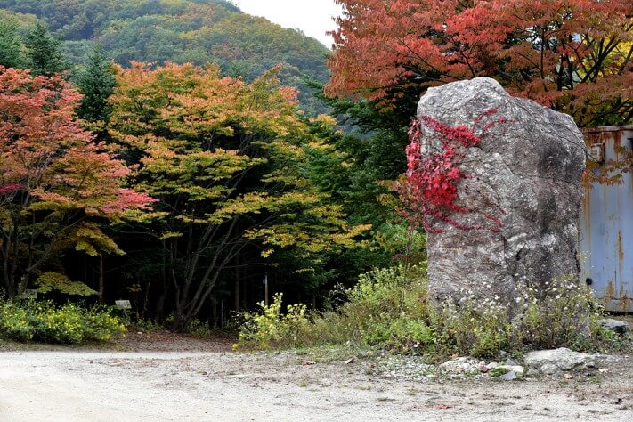 a6fbfd6951cef6e61d4752e6b1c447a9_1476692