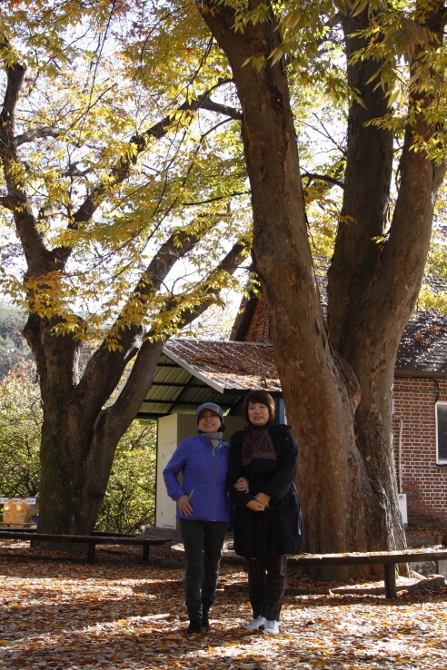 5507b1bfc0d8098f96bea228638455f6_1478090