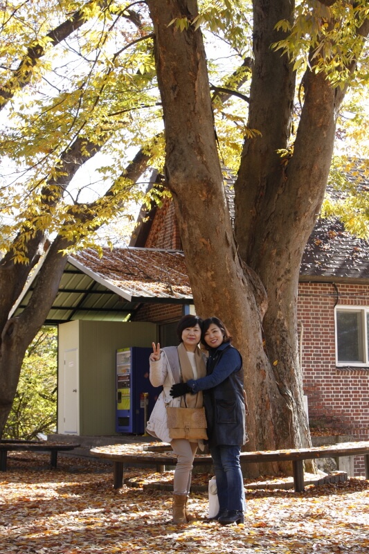 5507b1bfc0d8098f96bea228638455f6_1478090