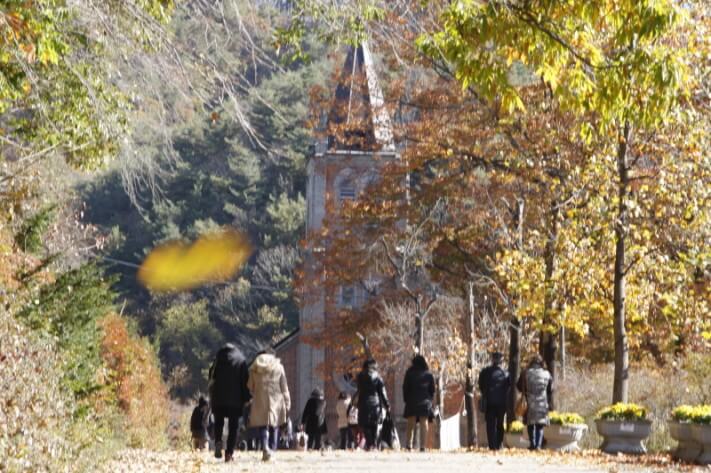 5507b1bfc0d8098f96bea228638455f6_1478090