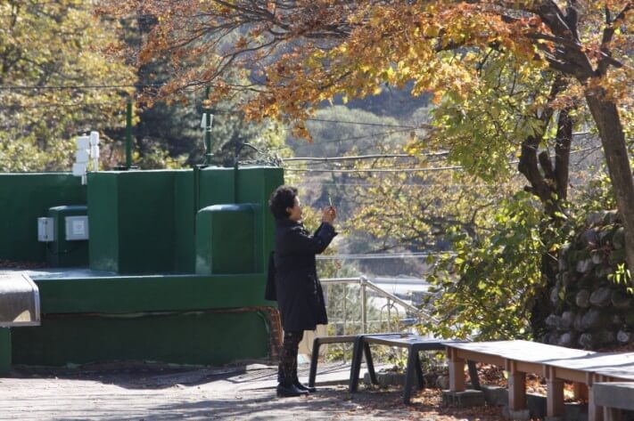 5507b1bfc0d8098f96bea228638455f6_1478090