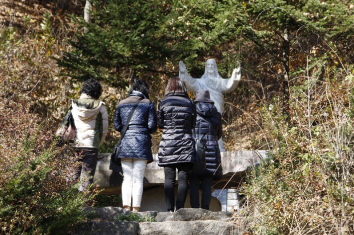 5507b1bfc0d8098f96bea228638455f6_1478090