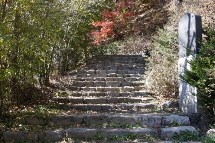 5507b1bfc0d8098f96bea228638455f6_1478090