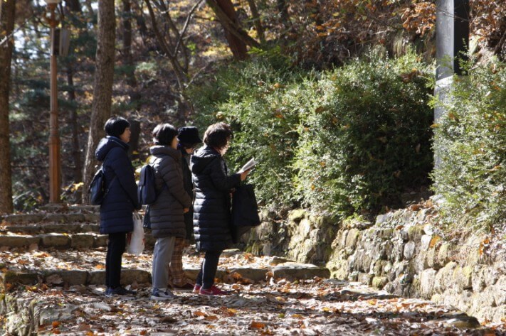 5507b1bfc0d8098f96bea228638455f6_1478090