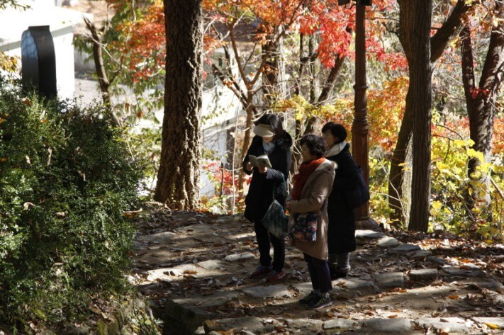 5507b1bfc0d8098f96bea228638455f6_1478090