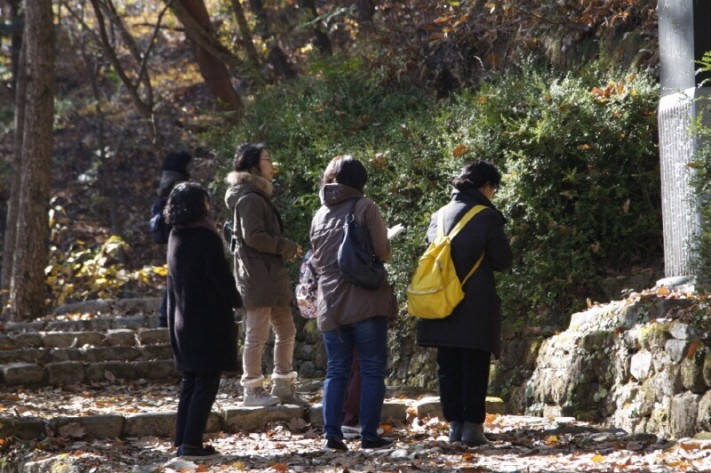 5507b1bfc0d8098f96bea228638455f6_1478090