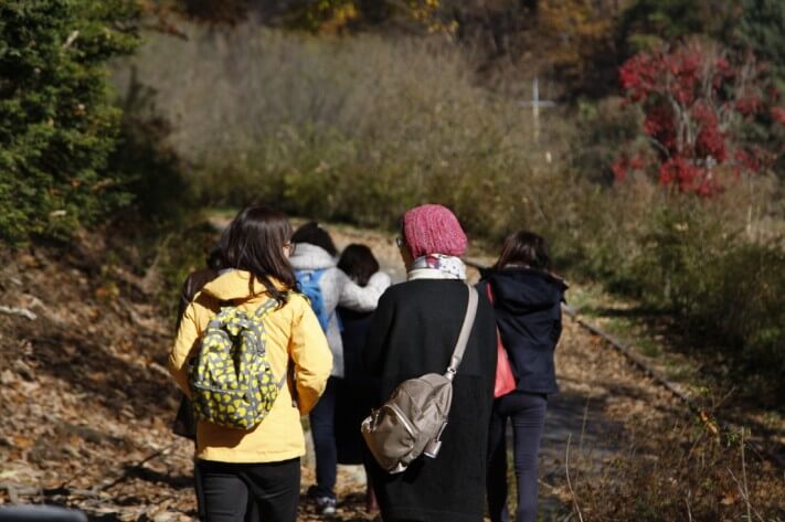 5507b1bfc0d8098f96bea228638455f6_1478090