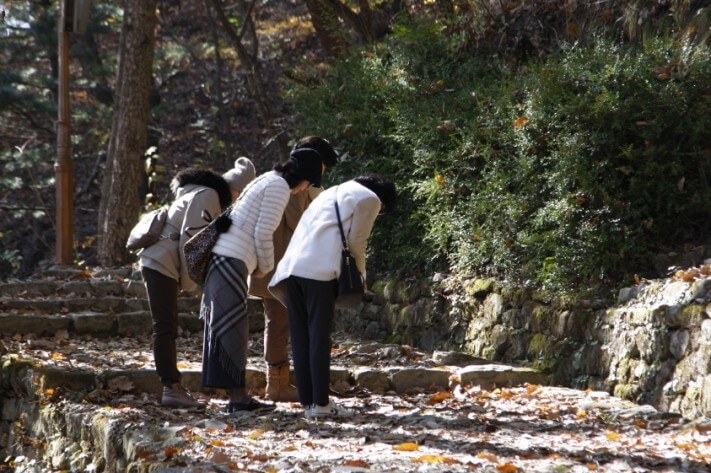 5507b1bfc0d8098f96bea228638455f6_1478090