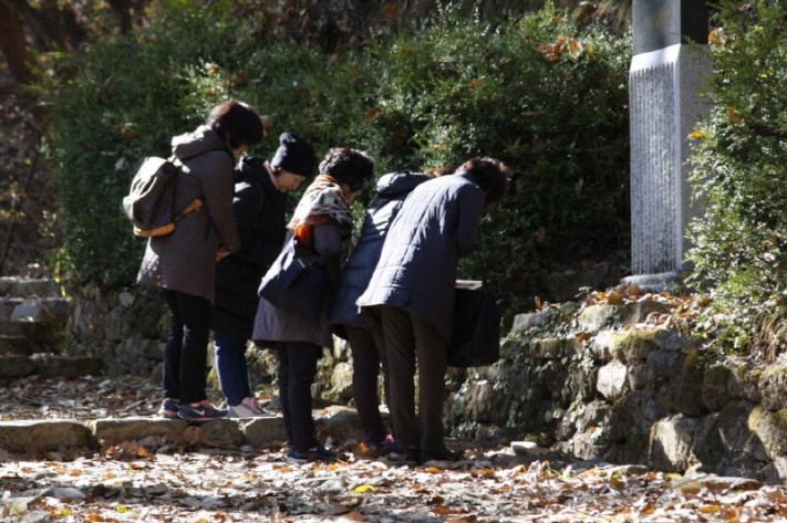 5507b1bfc0d8098f96bea228638455f6_1478090