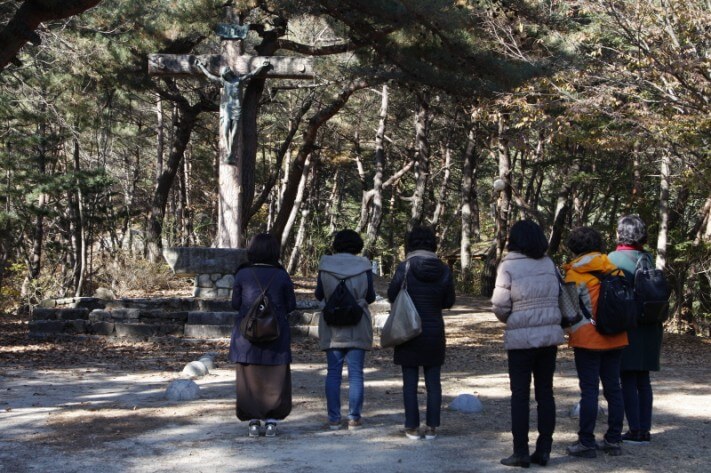 5507b1bfc0d8098f96bea228638455f6_1478090