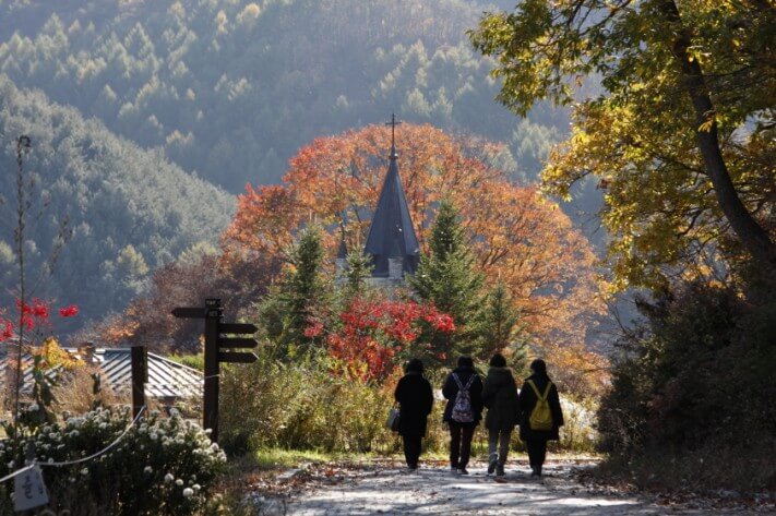 5507b1bfc0d8098f96bea228638455f6_1478090