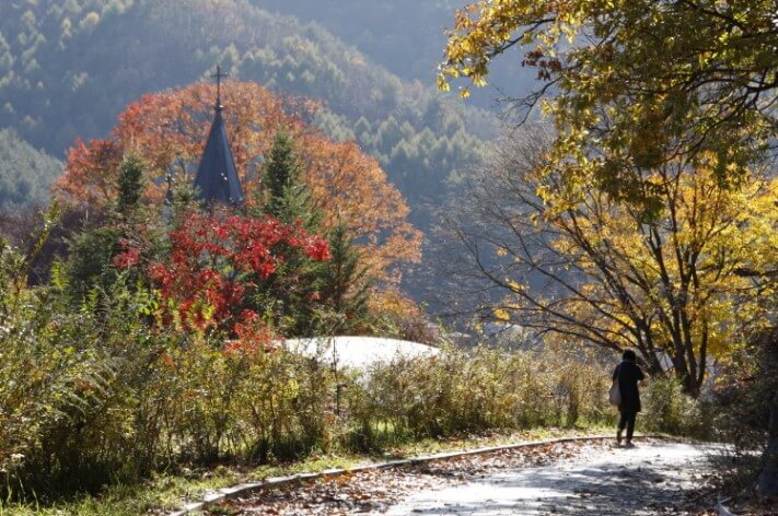 a6f2d24a7af0934f1a5e08af2ee59a18_1478146