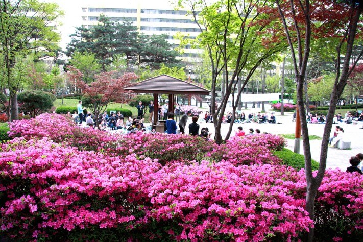 40cd1447b961e85b584f6104ca5a7f2d_1492427