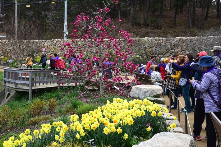 5a2a13eeafb0c4f89d3c8a0890cbb050_1492700