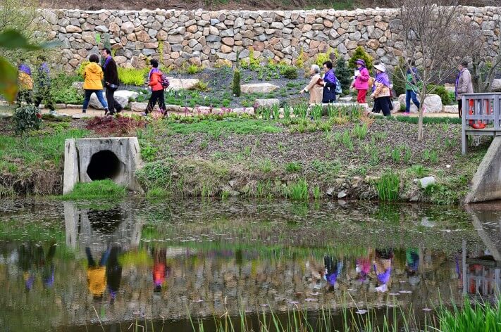 5a2a13eeafb0c4f89d3c8a0890cbb050_1492700