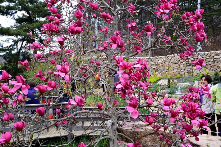 5a2a13eeafb0c4f89d3c8a0890cbb050_1492700