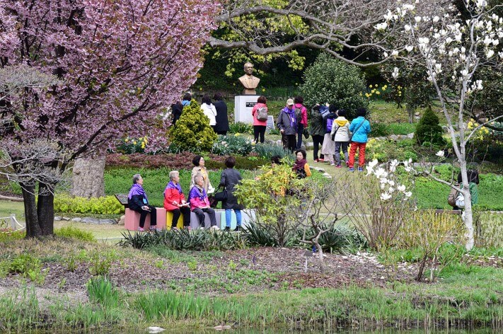 5a2a13eeafb0c4f89d3c8a0890cbb050_1492700