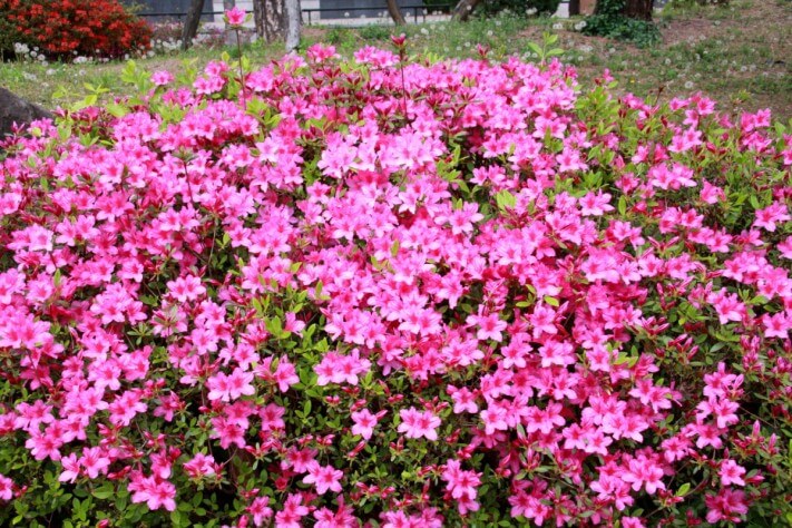 c25e4bd3c6c512a92c0ac99e4b151e99_1492436