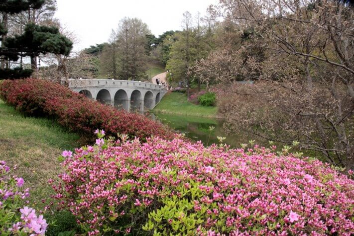 c25e4bd3c6c512a92c0ac99e4b151e99_1492436