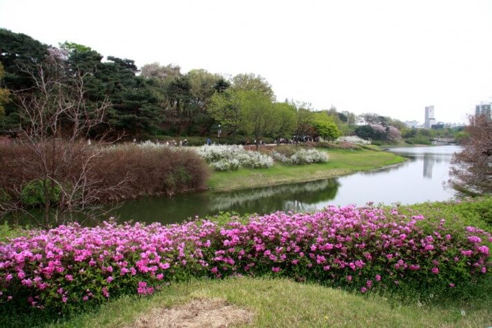 c25e4bd3c6c512a92c0ac99e4b151e99_1492436