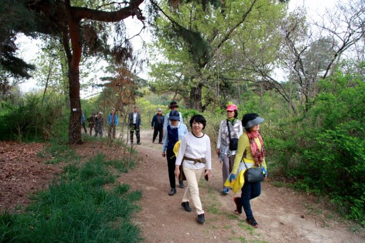 c25e4bd3c6c512a92c0ac99e4b151e99_1492436