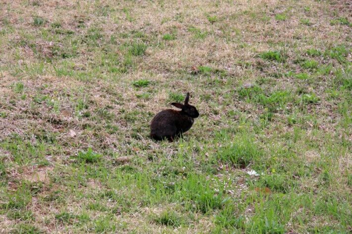 c25e4bd3c6c512a92c0ac99e4b151e99_1492436