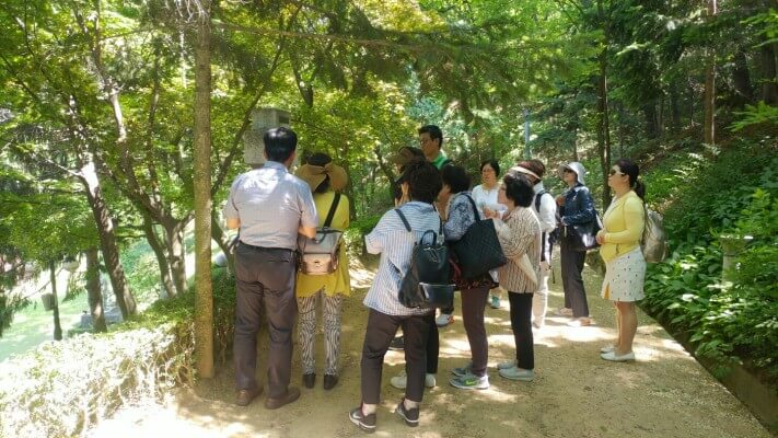 082edf75476bffbe7f7845c83129452d_1496217