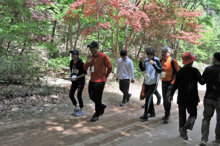 5556adcac10503723f924f0c3861b8bf_1494150