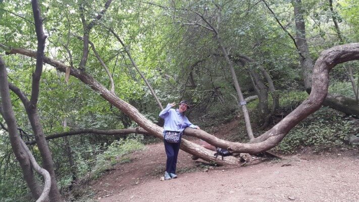 1892b120d0693a73788e5ec33f168b00_1496839